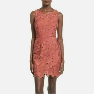 Astr Coral Lace Mini Dress